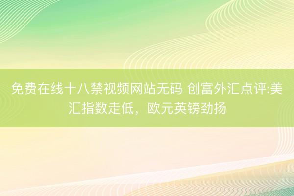 免费在线十八禁视频网站无码 创富外汇点评:美汇指数走低，欧元英镑劲扬