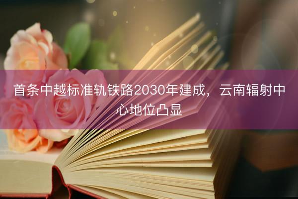 首条中越标准轨铁路2030年建成，云南辐射中心地位凸显