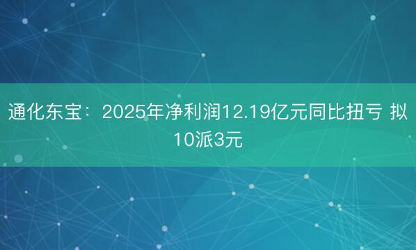 通化东宝：2025年净利润12.19亿元同比扭亏 拟10派3元