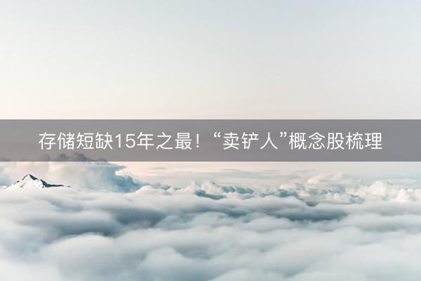 存储短缺15年之最！“卖铲人”概念股梳理