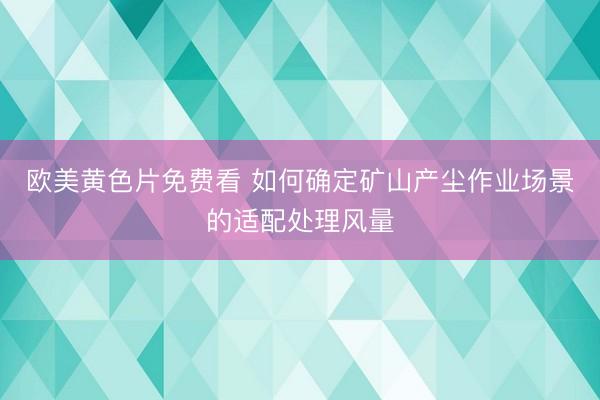 欧美黄色片免费看 如何确定矿山产尘作业场景的适配处理风量