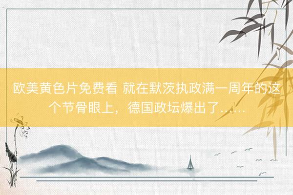 欧美黄色片免费看 就在默茨执政满一周年的这个节骨眼上，德国政坛爆出了……