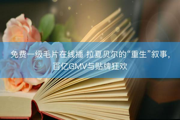 免费一级毛片在线播 拉夏贝尔的“重生”叙事,百亿GMV与贴牌狂欢