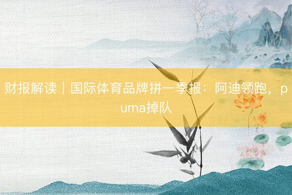财报解读｜国际体育品牌拼一季报：阿迪领跑，puma掉队