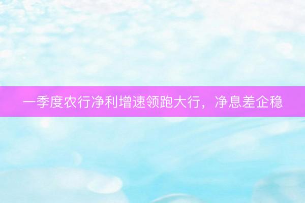 一季度农行净利增速领跑大行，净息差企稳
