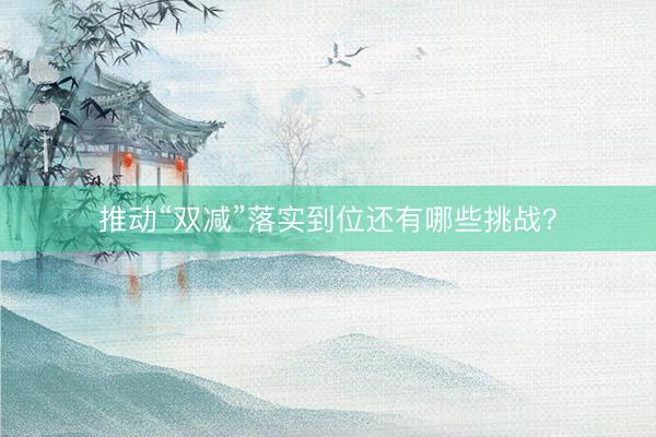 推动“双减”落实到位还有哪些挑战？