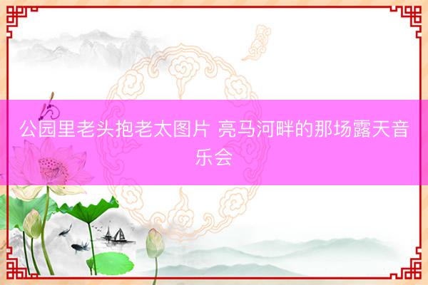 公园里老头抱老太图片 亮马河畔的那场露天音乐会