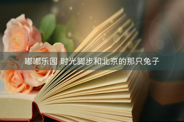 嘟嘟乐园 时光脚步和北京的那只兔子