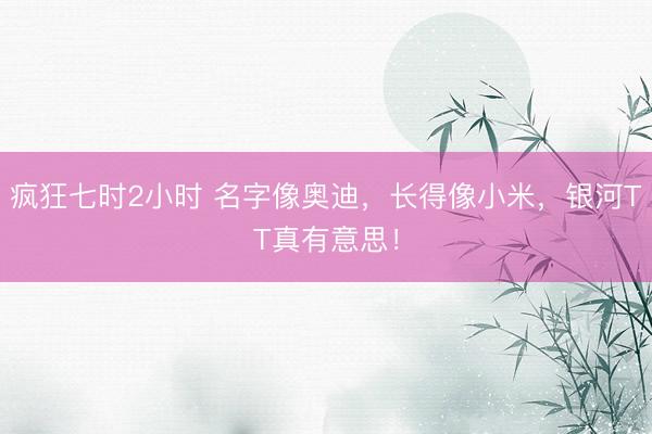 疯狂七时2小时 名字像奥迪，长得像小米，银河TT真有意思！