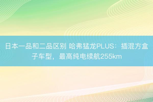 日本一品和二品区别 哈弗猛龙PLUS:插混方盒子车型,最高纯电续航255km