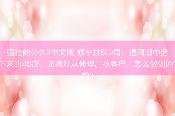 强壮的公么2中文版 修车排队3周！退网潮中活下来的4S店，正疯狂从修理厂抢客户，怎么做到的？
