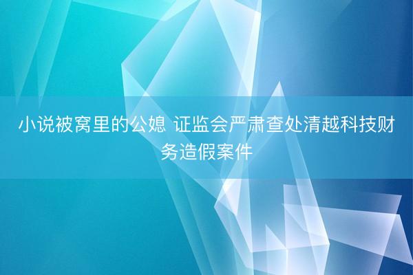 小说被窝里的公媳 证监会严肃查处清越科技财务造假案件