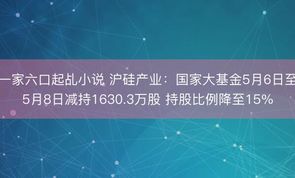 一家六口起乩小说 沪硅产业：国家大基金5月6日至5月8日减持1630.3万股 持股比例降至15%