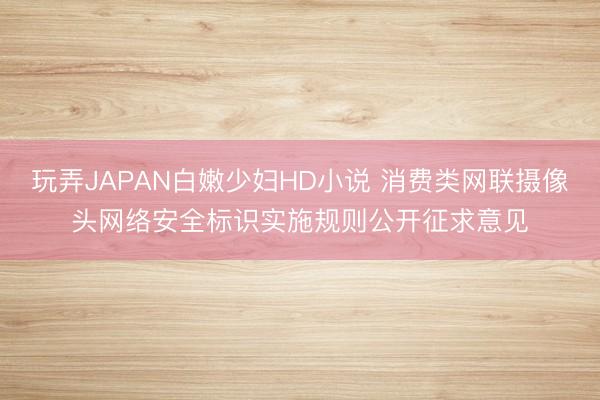 玩弄JAPAN白嫩少妇HD小说 消费类网联摄像头网络安全标识实施规则公开征求意见