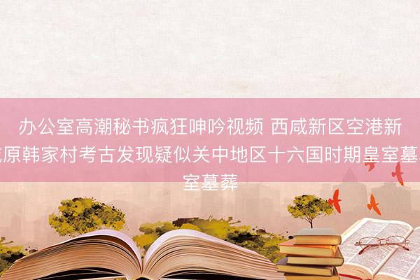 办公室高潮秘书疯狂呻吟视频 西咸新区空港新城原韩家村考古发现疑似关中地区十六国时期皇室墓葬