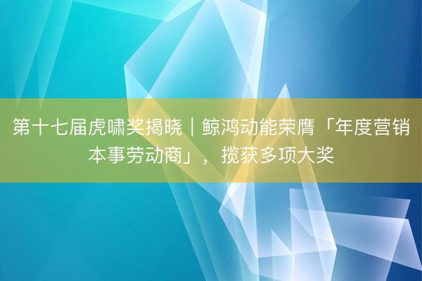 第十七届虎啸奖揭晓｜鲸鸿动能荣膺「年度营销本事劳动商」，揽获多项大奖