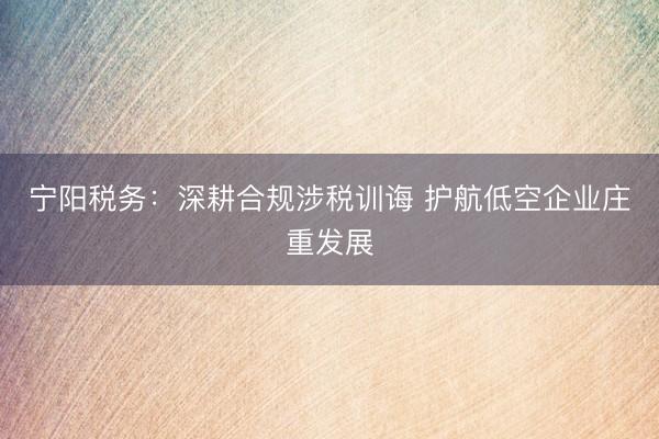 宁阳税务：深耕合规涉税训诲 护航低空企业庄重发展
