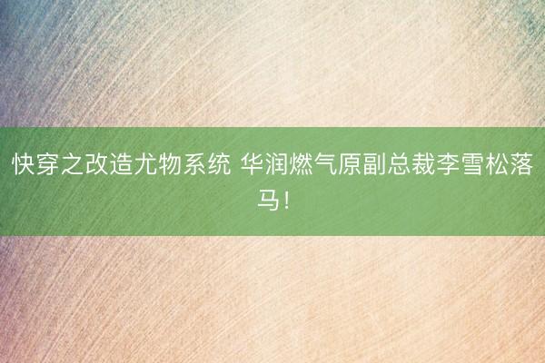 快穿之改造尤物系统 华润燃气原副总裁李雪松落马！