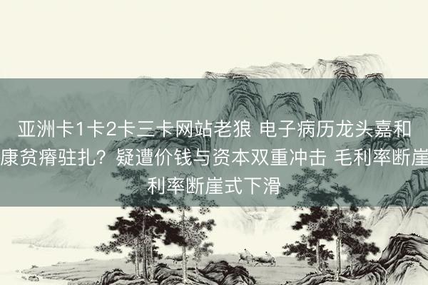 亚洲卡1卡2卡三卡网站老狼 电子病历龙头嘉和好意思康贫瘠驻扎？疑遭价钱与资本双重冲击 毛利率断崖式下滑