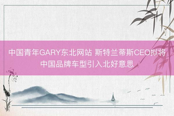 中国青年GARY东北网站 斯特兰蒂斯CEO拟将中国品牌车型引入北好意思