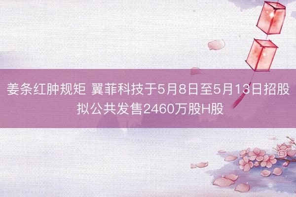 姜条红肿规矩 翼菲科技于5月8日至5月13日招股 拟公共发售2460万股H股
