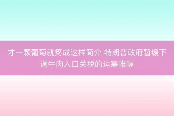 才一颗葡萄就疼成这样简介 特朗普政府暂缓下调牛肉入口关税的运筹帷幄