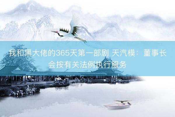 我和黑大佬的365天第一部剧 天汽模：董事长会按有关法例执行服务