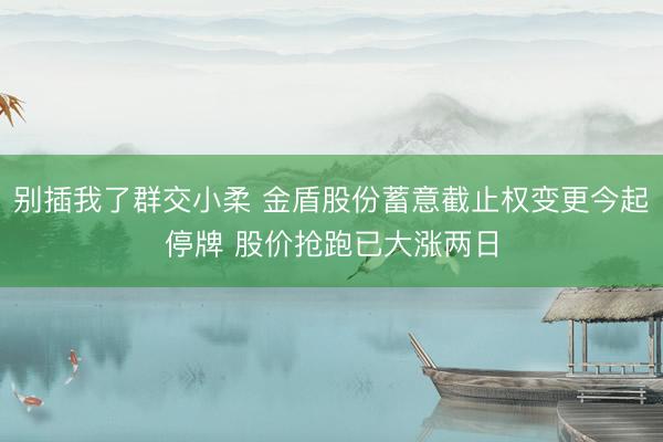 别插我了群交小柔 金盾股份蓄意截止权变更今起停牌 股价抢跑已大涨两日