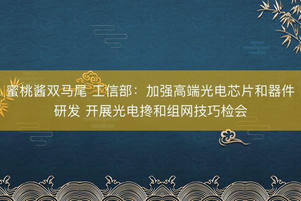 蜜桃酱双马尾 工信部：加强高端光电芯片和器件研发 开展光电搀和组网技巧检会