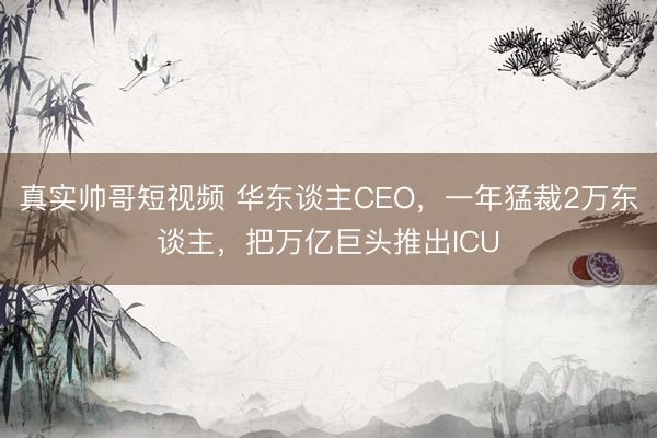 真实帅哥短视频 华东谈主CEO，一年猛裁2万东谈主，把万亿巨头推出ICU