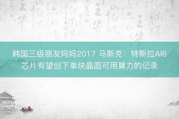 韩国三级朋友妈妈2017 马斯克：特斯拉AI6芯片有望创下单块晶圆可用算力的记录