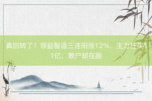 真回转了?领益智造三连阳涨12%,主力狂买11亿,散户却在跑