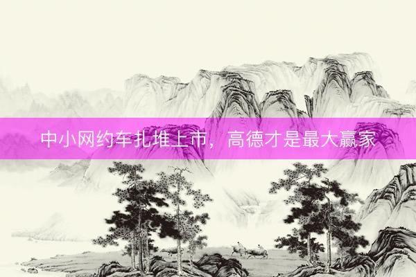 中小网约车扎堆上市，高德才是最大赢家
