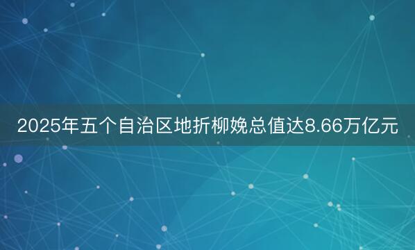 2025年五个自治区地折柳娩总值达8.66万亿元